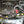 Load image into Gallery viewer, Injen 09-17 Mitsubishi Lancer GTS 2.4L 4 Cyl. Polished Cold Air Intake
