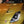 Load image into Gallery viewer, Spyder Nissan 350Z 03-05 Projector Headlights Halogen Model Only - DRL Black PRO-YD-N350Z02-DRL-BK
