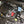 Load image into Gallery viewer, Injen 09-11 Mitsuibishi Lancer GTS 2.4L 4 cyl Polished Tuned Air Intake
